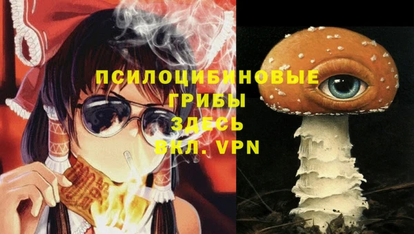 кокаин перу Вяземский