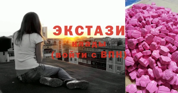 ECSTASY Бородино