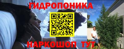 сатива Беслан