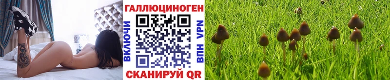 Галлюциногенные грибы мицелий  Дивногорск 