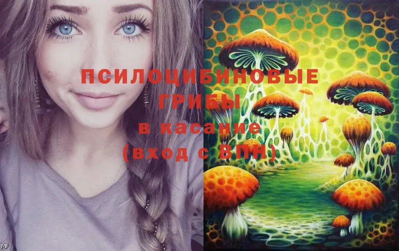 Галлюциногенные грибы MAGIC MUSHROOMS  закладка  Дивногорск 