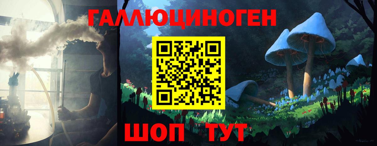 Псилоцибиновые грибы мухоморы Дивногорск
