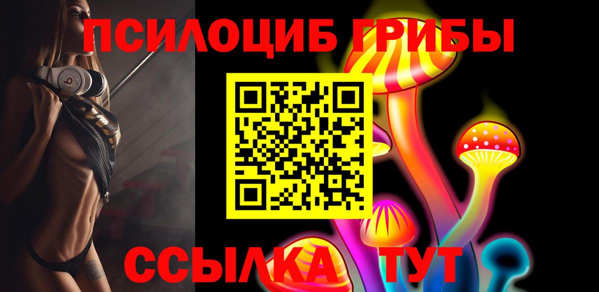 Псилоцибиновые грибы MAGIC MUSHROOMS Дивногорск